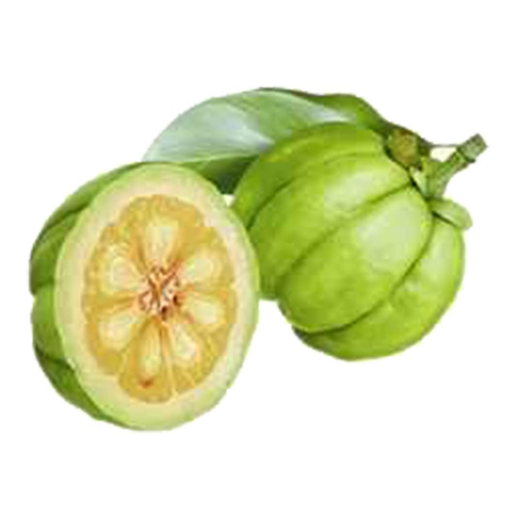 ultimate weight loss supplement 25